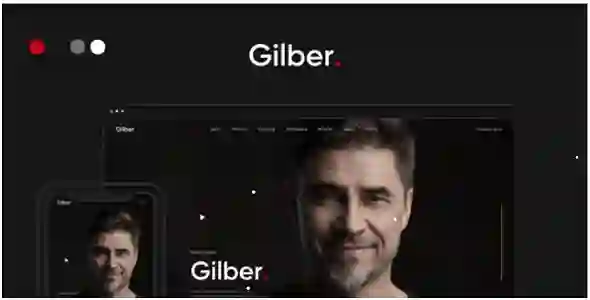 Gilber Theme GPL