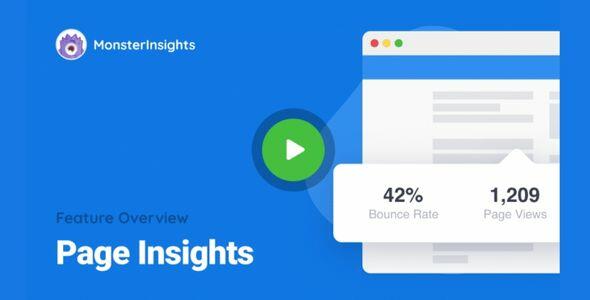 MonsterInsights AMP Page Insights Addon GPL
